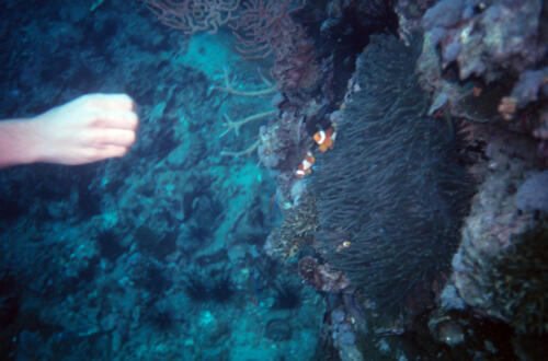 5412 hr RTW 31 May 1991 Phuket Thailand