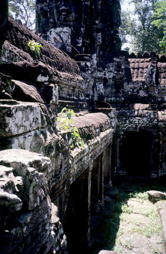 5481 hr RTW 15-18 Jun 1991 Siem Riap  Angkor Cambodia