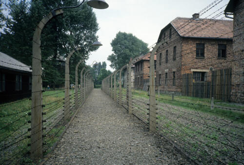 5888 hr RTW 25 Aug 1991 Auschwitz-Birkenau Poland