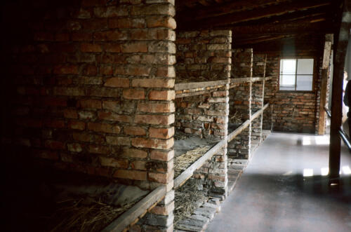 5889 hr RTW 25 Aug 1991 Auschwitz-Birkenau Poland