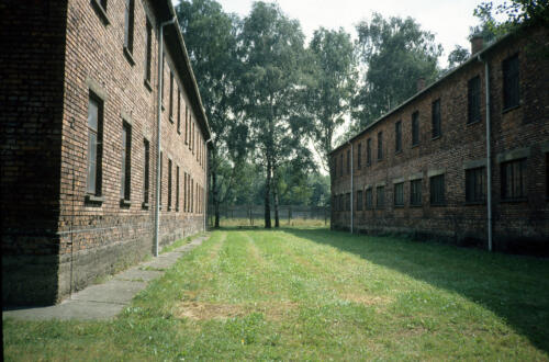 5891 hr RTW 25 Aug 1991 Auschwitz-Birkenau Poland