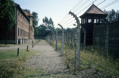 5893 hr RTW 25 Aug 1991 Auschwitz-Birkenau Poland