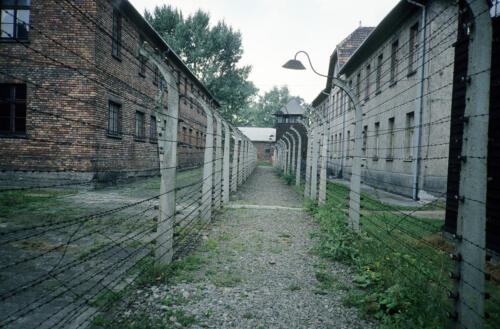 5894 hr RTW 25 Aug 1991 Auschwitz-Birkenau Poland