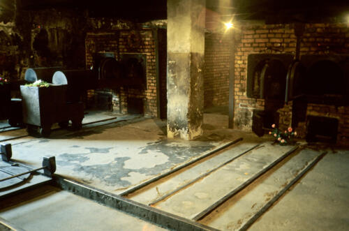 5895 hr RTW 25 Aug 1991 Auschwitz-Birkenau Poland