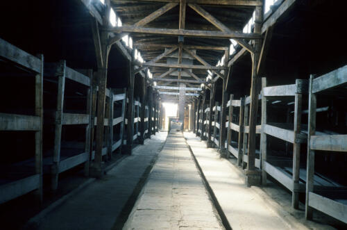 5900 hr RTW 25 Aug 1991 Auschwitz-Birkenau Poland