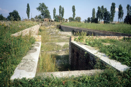 5904 hr RTW 25 Aug 1991 Auschwitz-Birkenau Poland